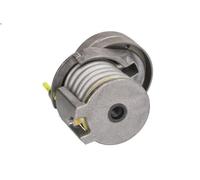 Tensioner Lever, V-ribbed belt INA 534 0346 10 for VW CC B7 (358) 1.4 2011-2016