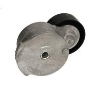 Aux Belt Tensioner fits FIAT SCUDO 2.0D 10 to 16 DW10CD Drive V-Ribbed INA New