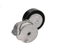 Tensioner Lever, V-ribbed belt INA 534 0604 10 for S-MAX (WA6) 2.5 2006-2014