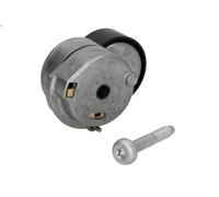 Tensioner Lever, V-ribbed belt INA 534 0607 10 for IDEA (350_) 1.3 2008-2012
