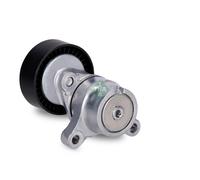 Tensioner Lever, V-ribbed belt INA 534 0666 10 for ANTARA A (L07) 2 2016-2017