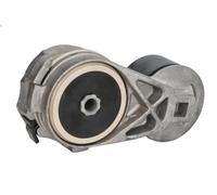 Tensioner Lever, V-ribbed belt INA 534 0697 10 for FORD 8000 7.5 1993-2000