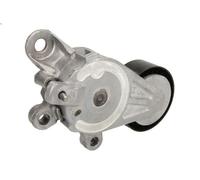 Tensioner Lever, V-ribbed belt SKF VKM 31042 for AUDI A3 (8P1) 1.4 2007-2012