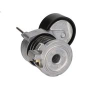 SKF VKM 31220 Tensioner pulley