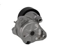 Tensioner Lever, V-ribbed belt SWAG 10 92 8149 for SL (R230) 3 2008-2012