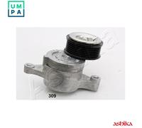 ASHIKA 128-03-309 Tensioner Lever, v-ribbed belt