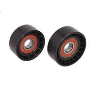 Fits BTA E2B0027BTA Tensioner Pulley, V-ribbed belt E2B0027 BTA Bearing Technol