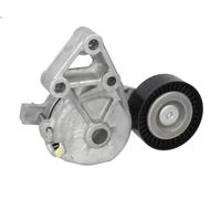 Tensioner Pulley, V-ribbed bel SKF VKM 31019 for AUDI A3 (8L1) 1.9 2000-2003