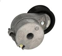 Tensioner Pulley, V-ribbed bel SNR GA357.54 for AUDI TT (8J3) 2 2010-2014