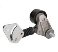 Tensioner Pulley, V-ribbed belt HUTCHINSON T5014 for MAN TGA 11.967 2000-2007