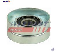 FAST FT46667 Tensioner Lever, v-ribbed belt