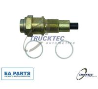 Tensioner, timing chain for MERCEDES-BENZ S202 TRUCKTEC AUTOMOTIVE 02.12.081