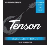 Tenson Saitensatz f. Mandoline Phosphor-Bronze 010-034