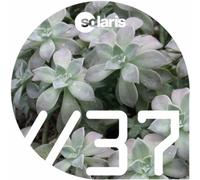 Tenth Planet - Ghosts