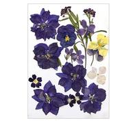 TENYELE 16/18/19/22Pcs Pressed Dried Flower For Resin Natural Dry Flower Leaves For Art Craft Scrapbooking Jewelry Making Phone Case Decoration