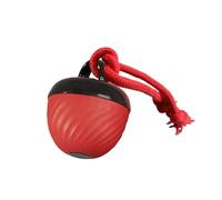 TENYELE Chew- Interactive Dog With Automatic Bouncing Action For Boredom Relief & Mental Unpredictable Rolling Dog Ball