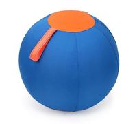 TENYELE Dogs Outdoor Inflatable Ball Toy Interactively Herding For Small Pet Training Herding Chew For Aggressive Chewer For Large For Aggressive Chewer
