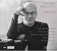Teodoro Anzellotti - Origami