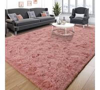 Tepook Super Soft Fluffy Rug for Bedroom, Modern Shaggy Fuzzy Kids Rugs for Living Room, Plush Indoor Nursery Home Decor Dorm Carpet with Non-Slip Bottom, Blush, 3 X 5 Feet