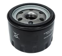 TERAM LOISIRS Oil Filter Compatible with Piaggio MP3 500 Sport Advanced 2019 2020 2021 New France