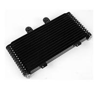 TERAM LOISIRS Oil Radiator Compatible with Suzuki GSF 1200 Bandit 2001 2002 2003 2004 2005