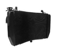 TERAM LOISIRS Radiator Compatible with Yamaha R1 2009 2010 2011 2012 2013 2014