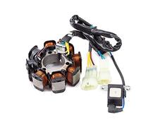 TERAM LOISIRS Stator Ignition Compatible with Honda TRX 250 TM FourTrax 250 2005 2006 2007 2008 2009 2010