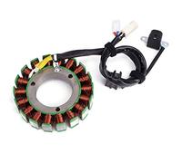 TERAM LOISIRS Stator Ignition Compatible with Suzuki LTA 450 X King Quad 2007 2008 2009 2010