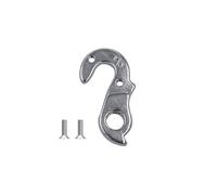 TerchPilet Derailleur Hanger 166 GH-039 Compatible with Polygon Helios, Strattos, Louis Garneau, Dedacciai, Whyte | CNC Aluminum Alloy, Silver, Replacement Dropout with Bolts
