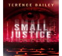 Terence Bailey Small Justice Paperback Book Terence Bailey Multicolor