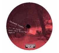 Terence Fixmer - Silence Control B [12" VINYL]