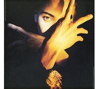 Terence Trent D'Arby - N.F.N.F. [VINYL]