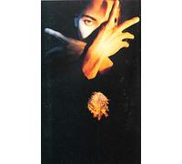 Terence Trent D'arby - Neither Fish Nor Flesh [CASSETTE]