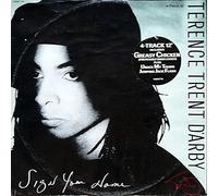 Terence Trent D'Arby - SIGN YOUR NAME 7 INCH (7" VINYL 45) UK CBS 1987