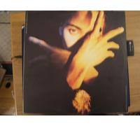 Terence Trent D'Arby - Terence Trent D'Arby - Terence Trent D'Arby's Neither Fish Nor Flesh: A Soundtrack Of Love, Faith, Hope, And Destruction - CBS - 465809-1