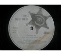 TERENCE TRENT D'ARBY Wishing Well 12"