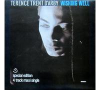 Terence Trent D'Arby - Wishing well [VINYL]