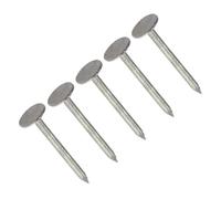 TERF® 40mm X 3mm Galvanised ELH Clout Nails 40mm (1.5'') X 3mm Extra Large Head Clout Nails for Roofing DIY and Crafts Home Decor Woodwork Furniture and Construction - Pack of 100