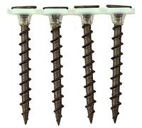 TERF® Collated Drywall Coarse Thread Screws 4.2 X 75mm Phillips Drive Bugle Head Black Finish - Pack of 25