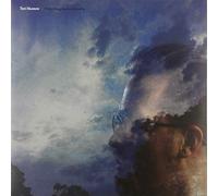 Teri Mantere - Everything Needs to Breathe (LP) [VINYL]