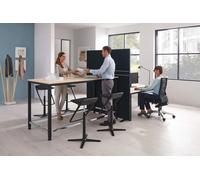 Terio Plus Akustik Stellwand von Palmberg