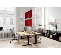 Terio Plus Baffel Akustik Panel Decke vertikal von Palmberg