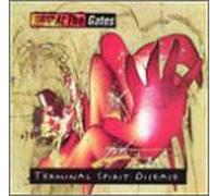 Terminal Spirit Disease