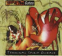 Terminal Spirit Disease