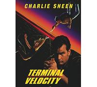 Terminal Velocity