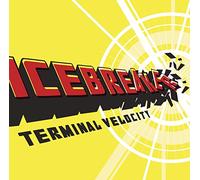 Terminal Velocity