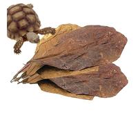 Terminalia Catappa Leaves - 10Pcs Natural Catappa Indian Almond Leaves | Premium Almond Leaves Aquarium | Island Almond Leaf for Fish Health, Aquatic Plants and Water Quality Enhancement