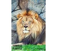 Terminplaner 2026: Löwe - Taschenkalender | 12 Monate | Wochenplaner, Terminkalender von Januar bis Dezember 2026 Ideal für Studenten, Berufstätige ... | Monatsplaner, Kontaktliste, Notizen