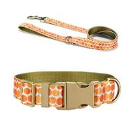 TERNCOEW Dog Collar Leash Set Decorative Pumpkin Print Collar For Running & Swimming For Small And Large Dogs Long Leash