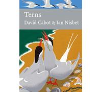Terns: Book 123 (Collins New Naturalist Library)